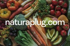 naturaplug.com